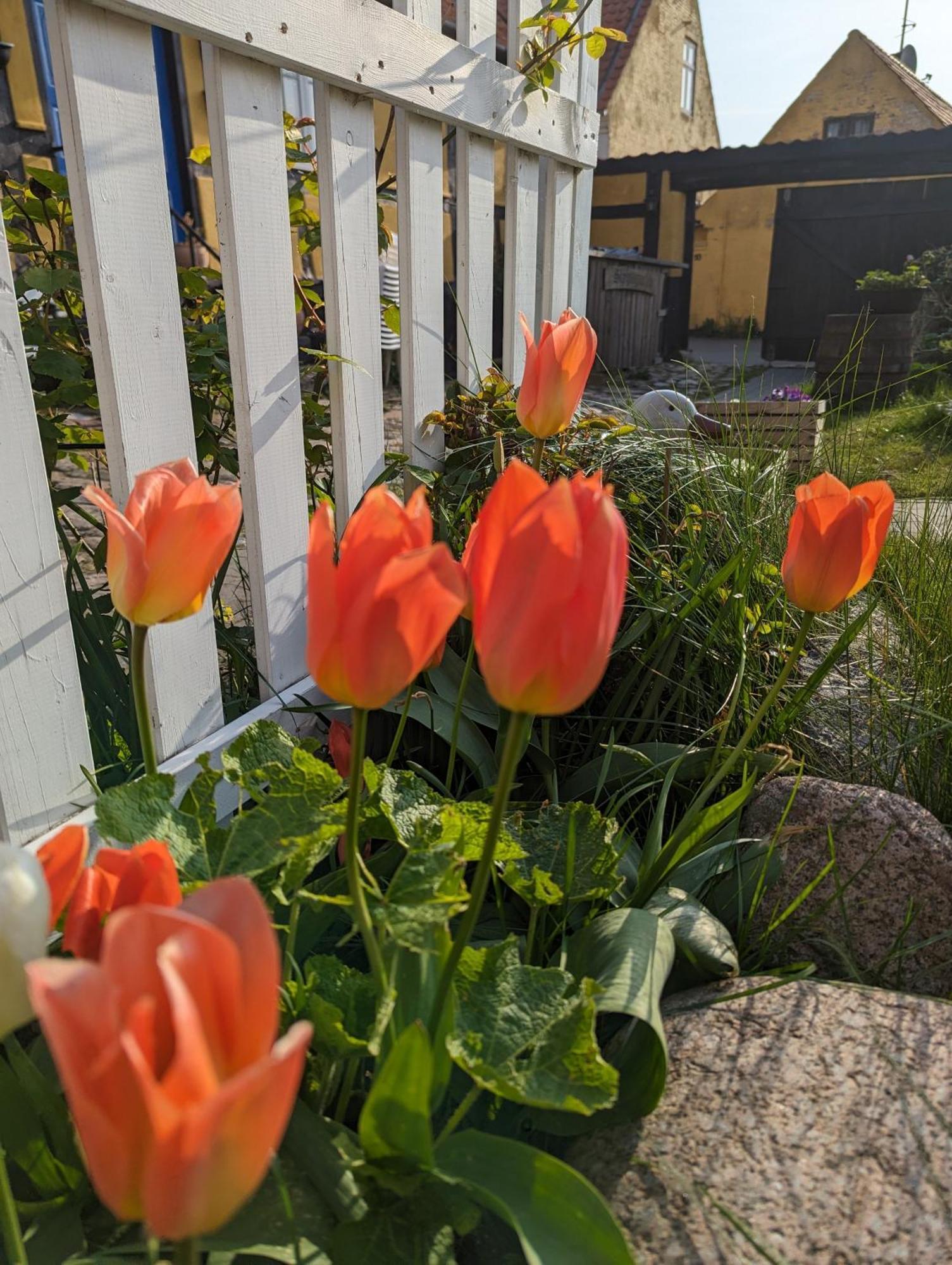 Slaegtsgaarden Allinge-Sandvig